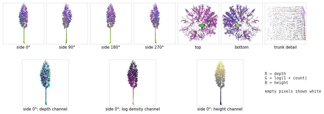 The seven renders of one tree (four sides, top, bottom, trunk detail) and the depth, log density, and height channels of one side view
